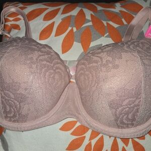 Elegant Lace Underwire Bra in Blush